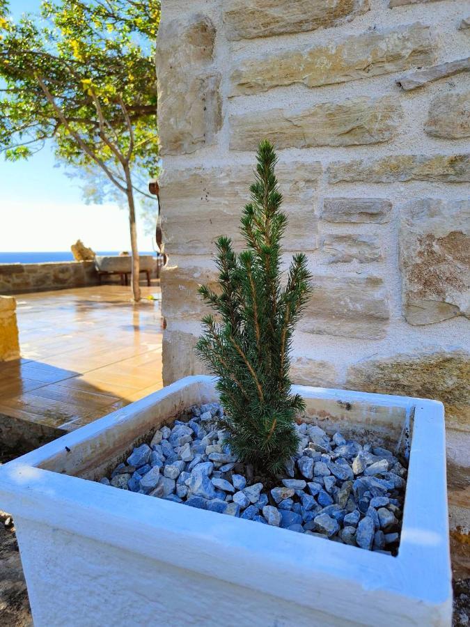 Vila Apostolis อากิโอส พาฟลอส ภายนอก รูปภาพ